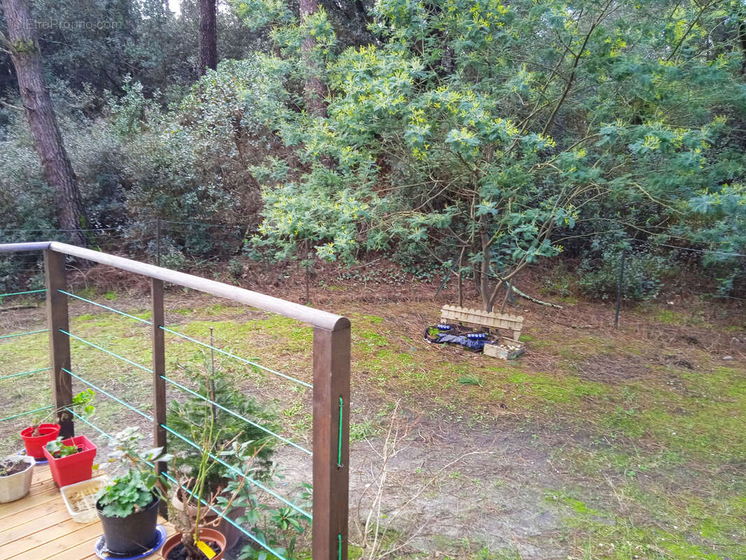 Appartement à LE VERDON-SUR-MER