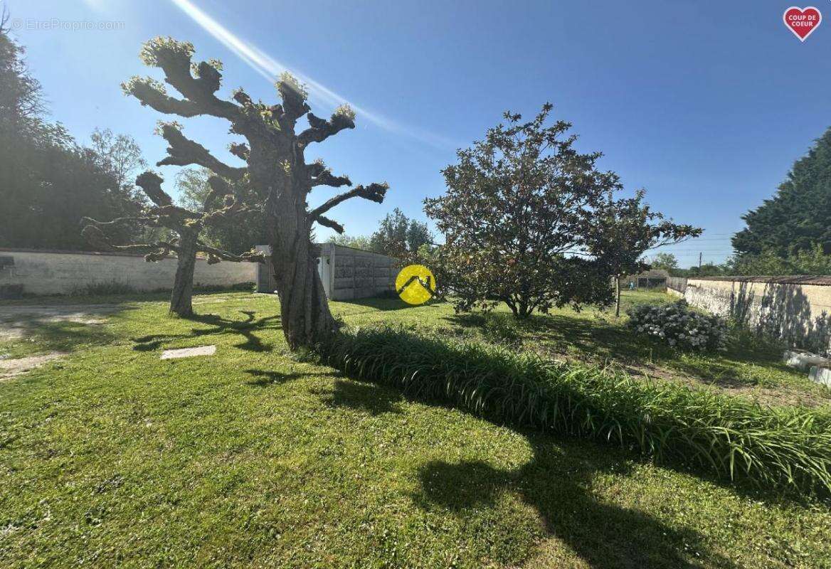 Maison à LA GUERCHE-SUR-L&#039;AUBOIS