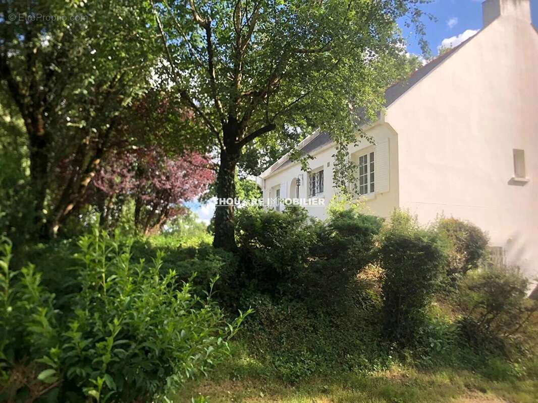 Maison à THOUARE-SUR-LOIRE