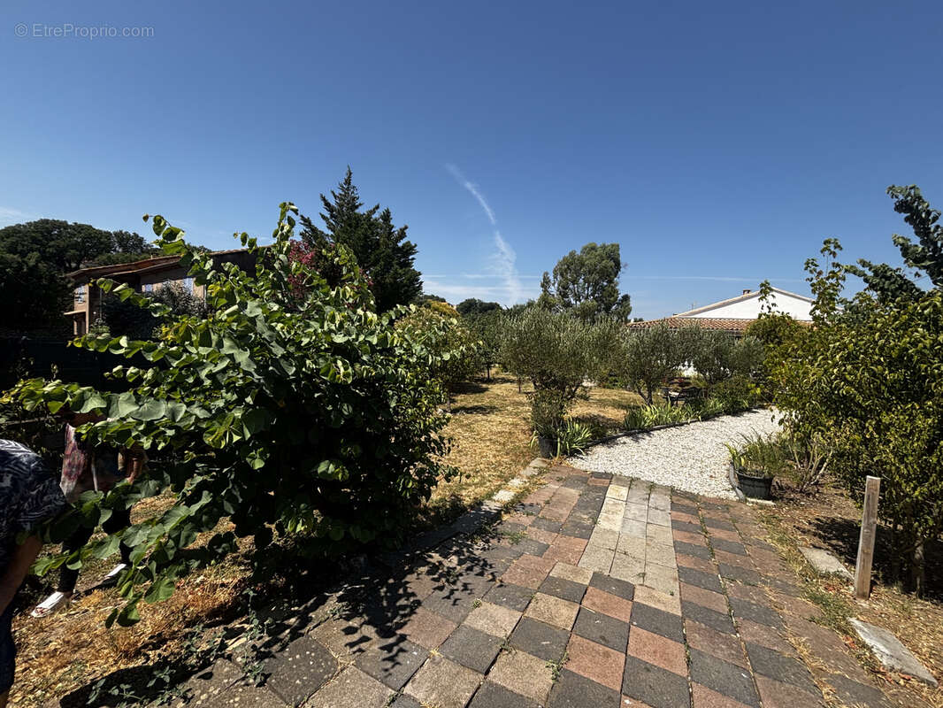 Proche pezenas -  maison independante de plain pied 3 chambres terrain 1345m2 grand terrain clos - photo 31