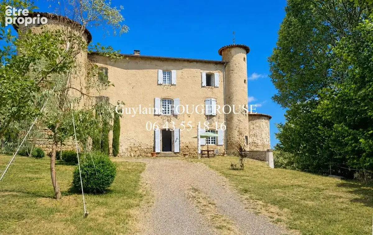 Prestige Aile d'un château Plus d'un hectare de terrain - photo 17