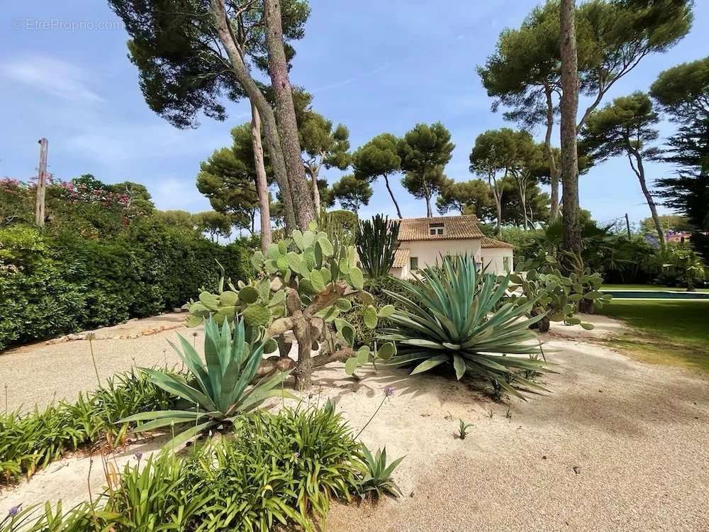 Maison à ANTIBES