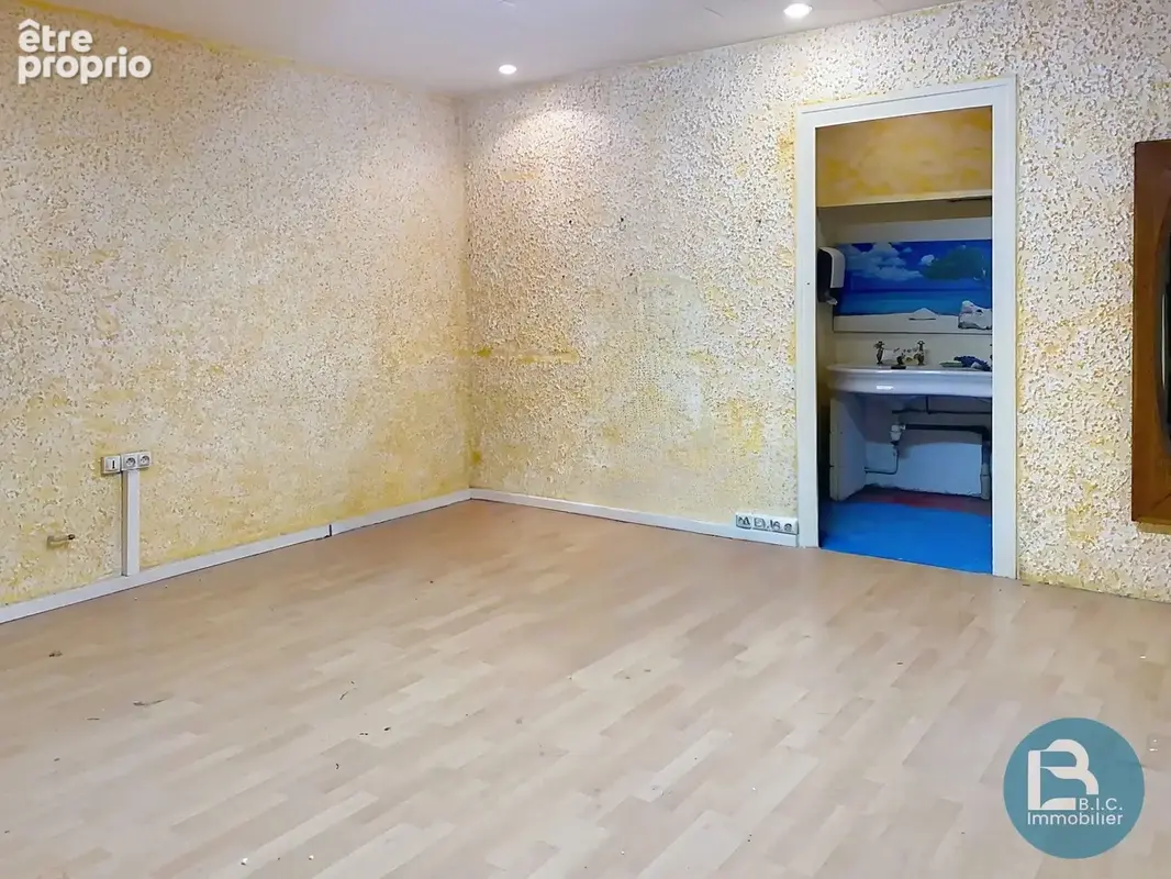 Commerce 60 m² à vendre à Lyon-9e (69009) - photo 3