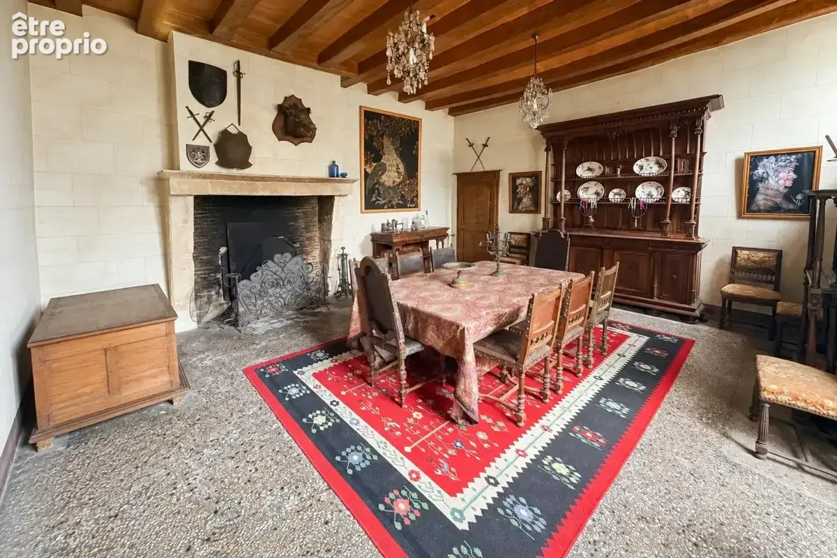 Majestueux Hôtel Particulier à Châtillon-sur-Indre - photo 9