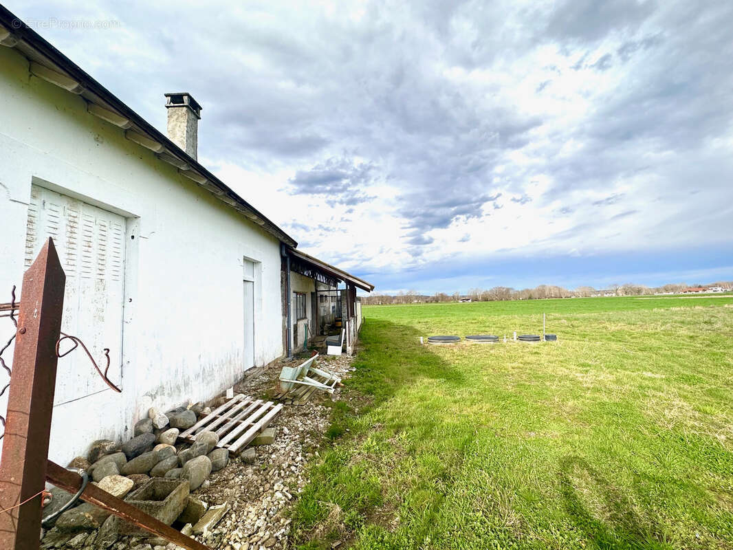 Appartement Duplex , plateau, avec grand terrain agricole - photo 4