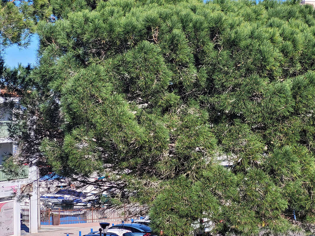 Appartement à CANET-EN-ROUSSILLON