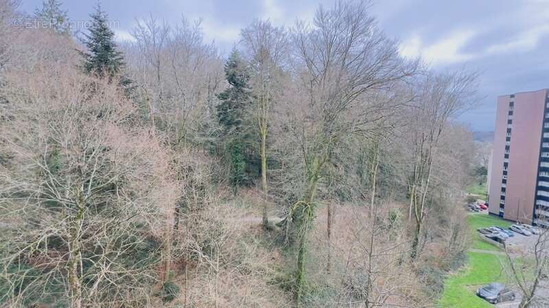 Quimper Ouest - Appartement T4 de 78 m² habitable - 1 loggia - Une terrasse - Cave - photo 6