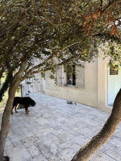 Maison à VERNEGUES
