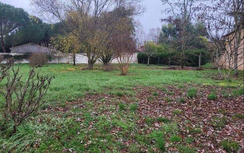 Terrain à LAVAUR