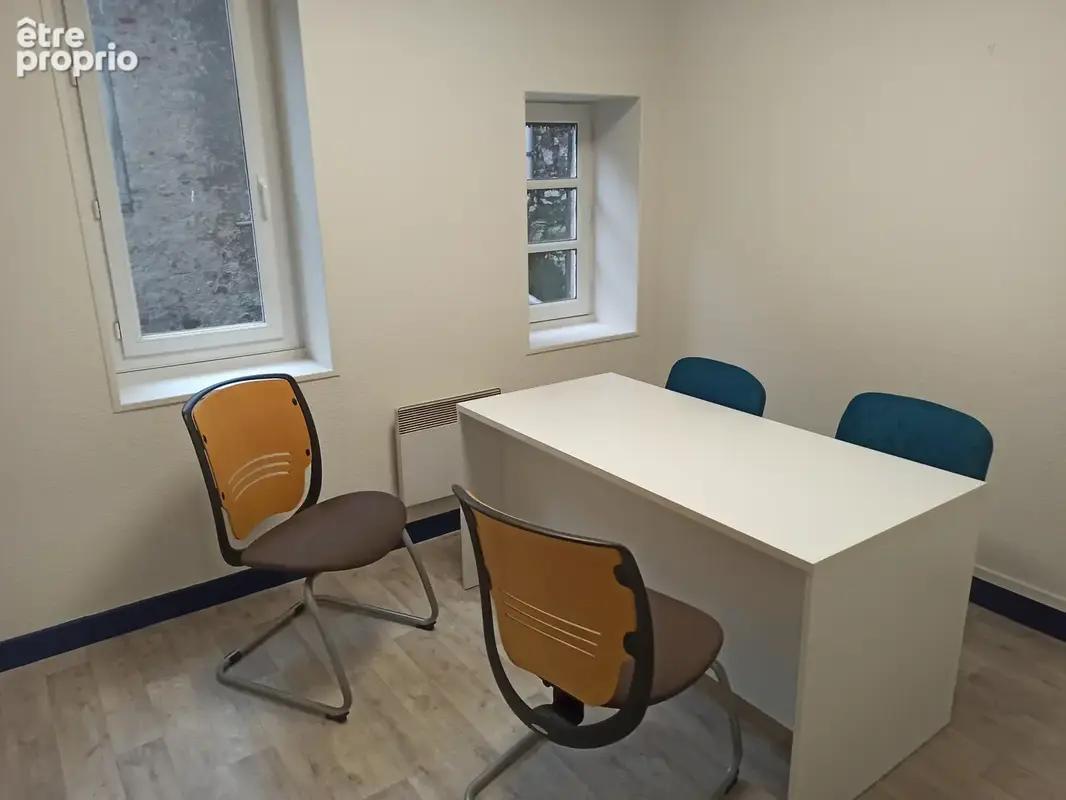 Local professionnel en centre ville - photo 5