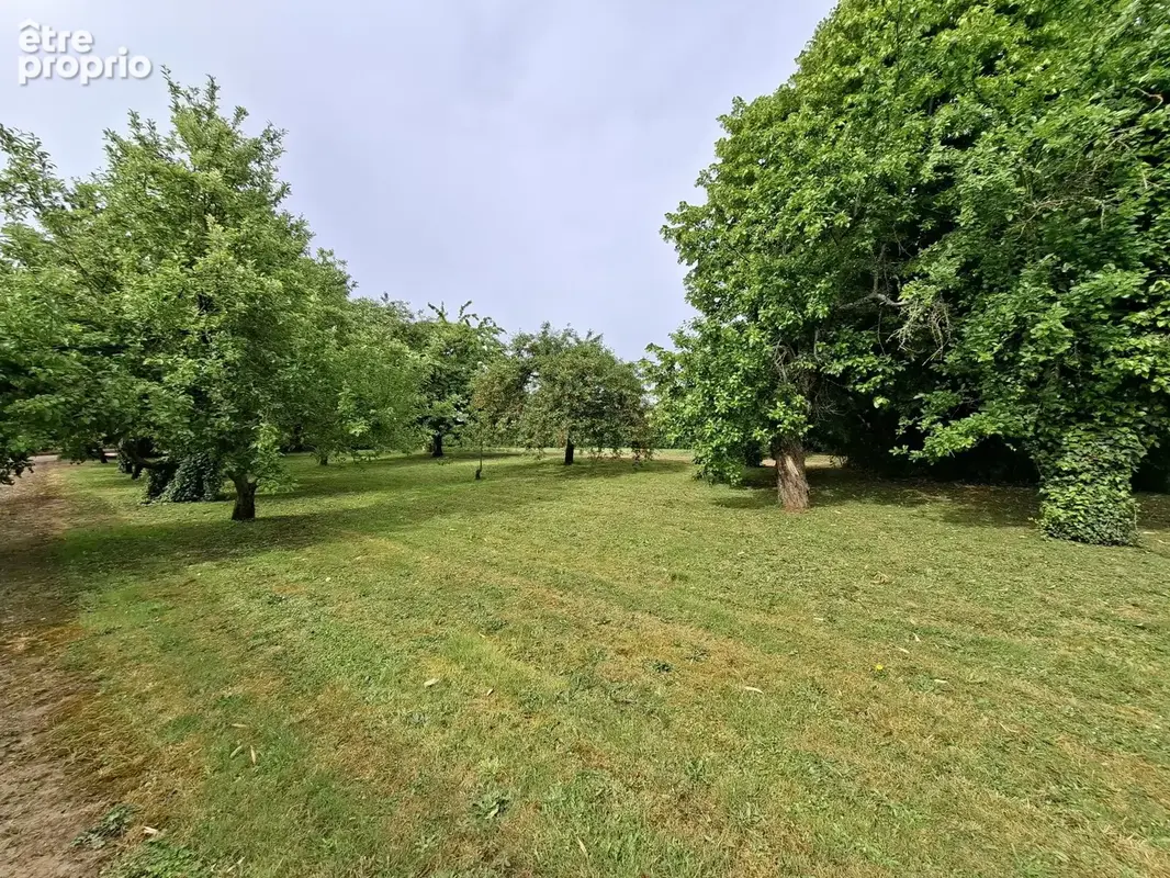 Maison 110 m² à Creches-Sur-Saone  - photo 2
