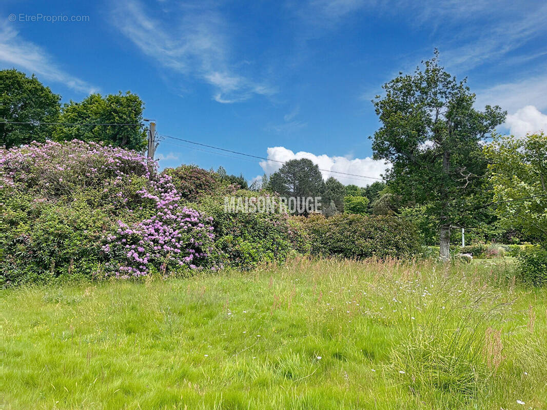 Terrain à SAINT-BRIAC-SUR-MER