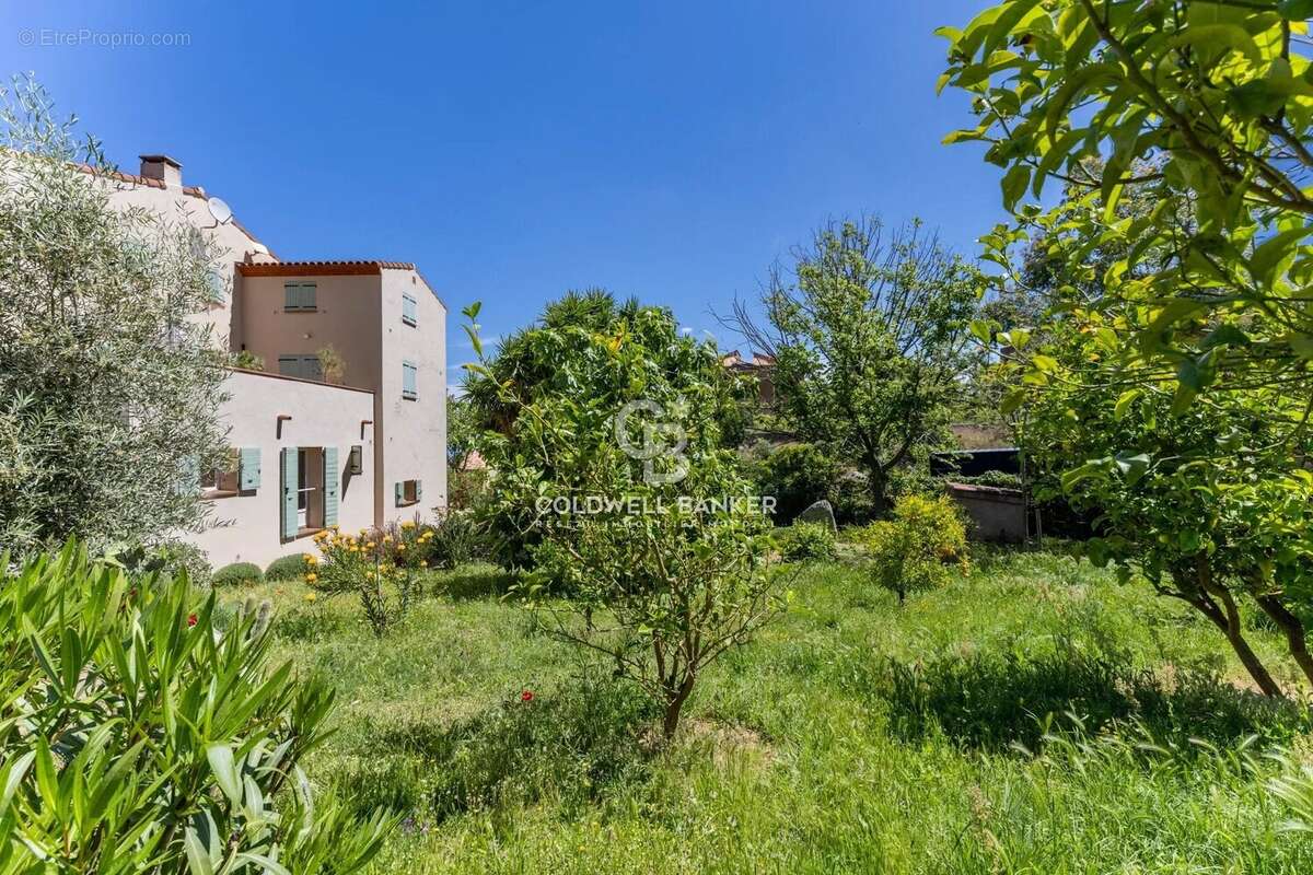Appartement à SANTA-REPARATA-DI-BALAGNA
