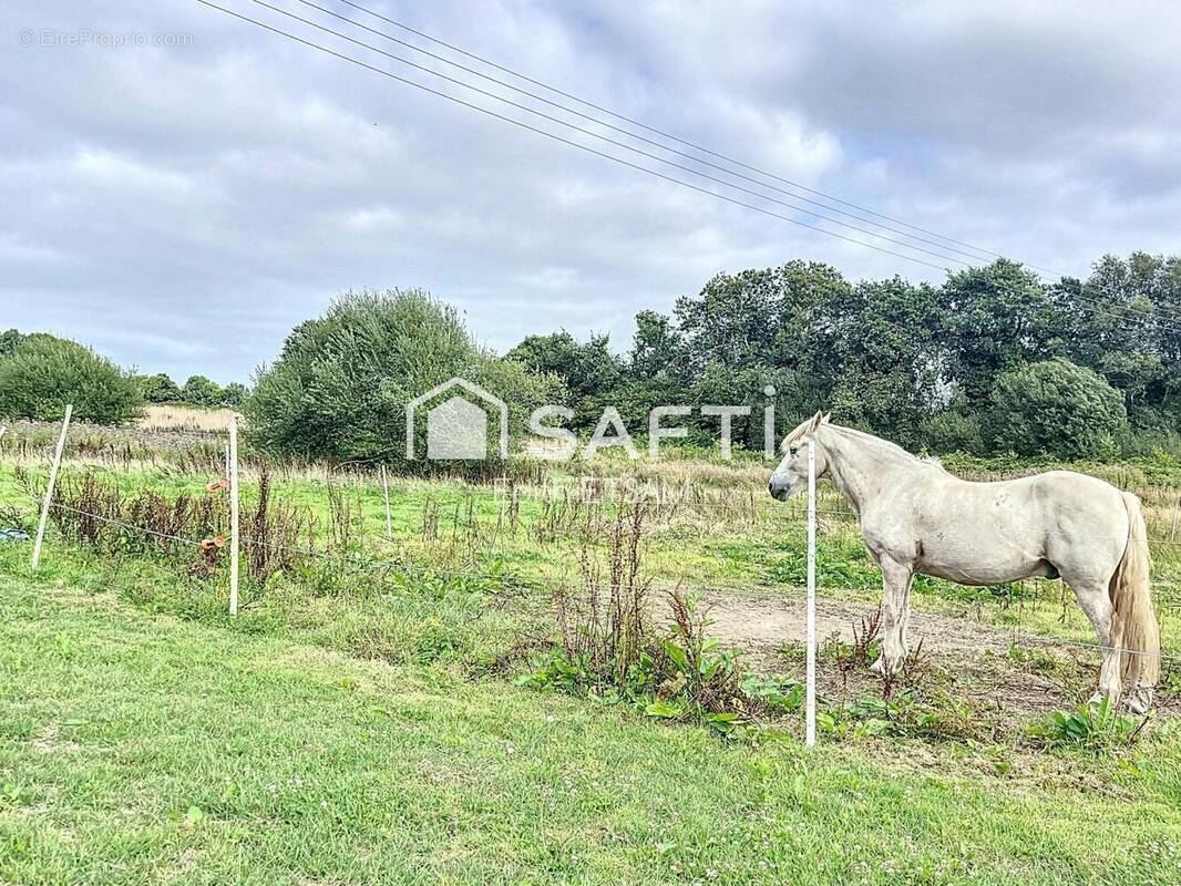 Photo 1 - Maison à PLUGUFFAN