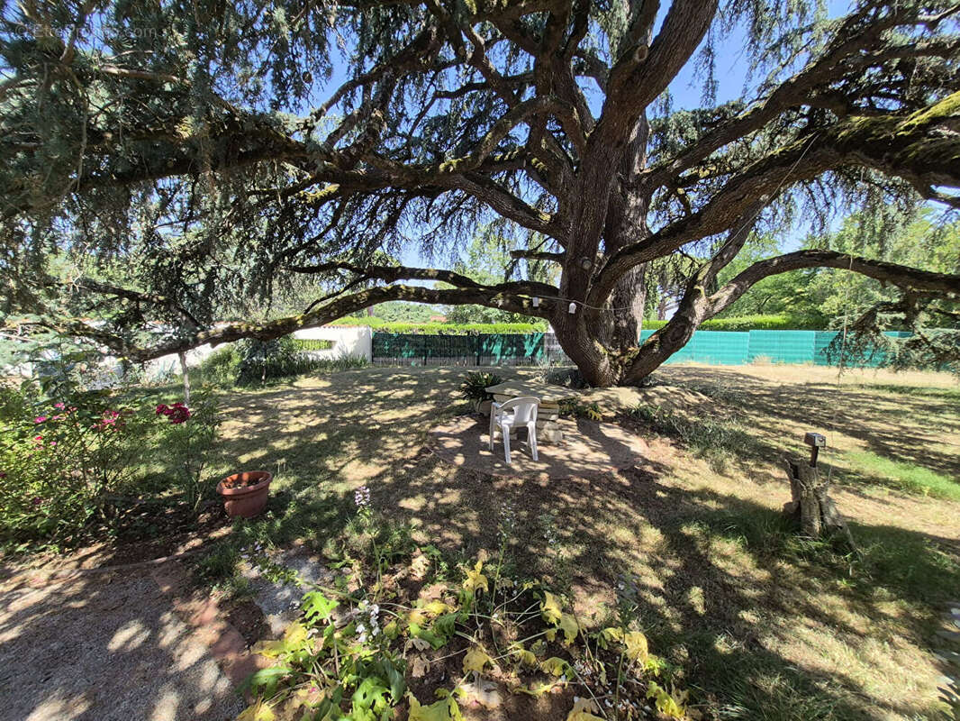 PIBRAC DOMAINE DU BERNET Grande Maison familiale sur 2250 m² de terrain - photo 3