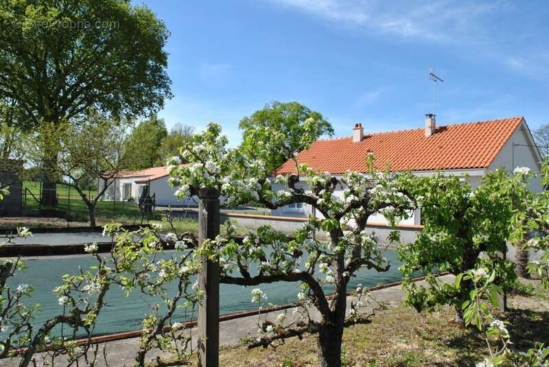 Maison à TREIZE-SEPTIERS