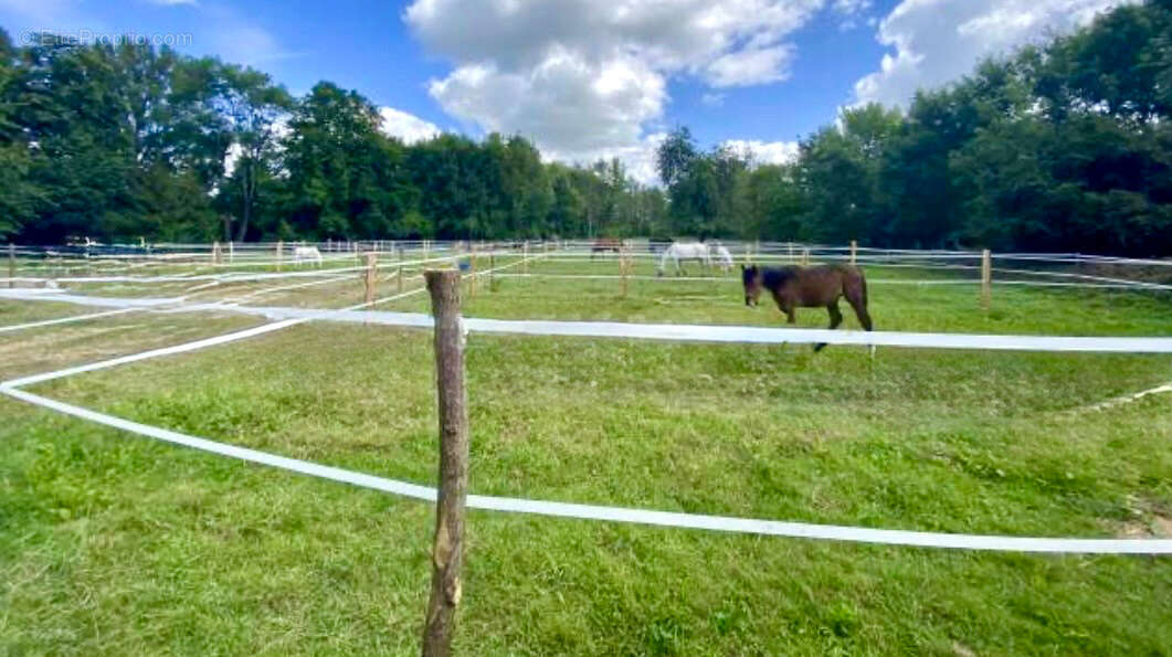 Maison à LA FERTE-GAUCHER