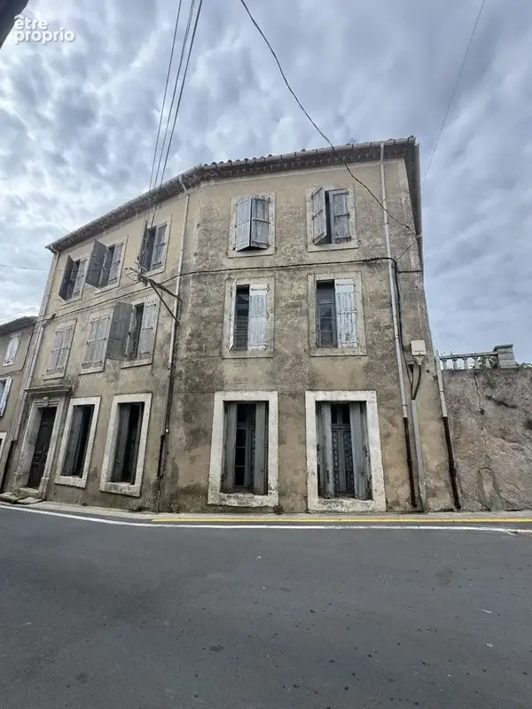 Maison de maître  700 m²  r+3 - photo 1