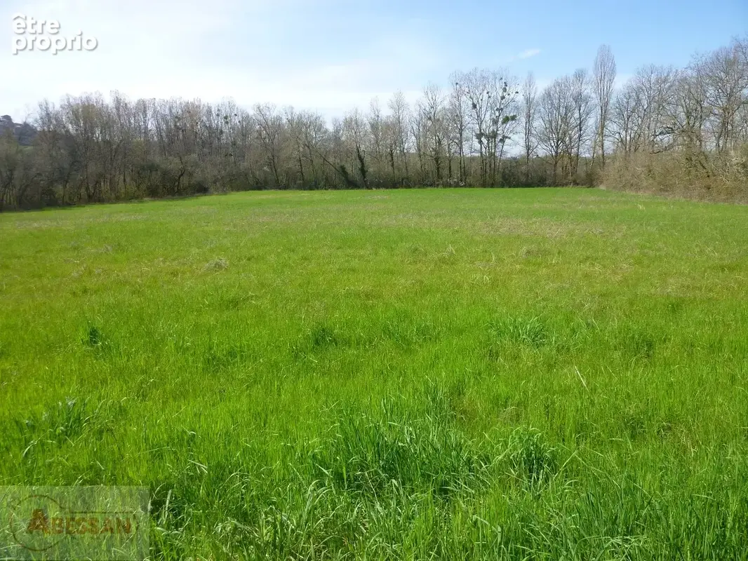 Terrain 10000 m² à Cordes-Sur-Ciel  - photo 5