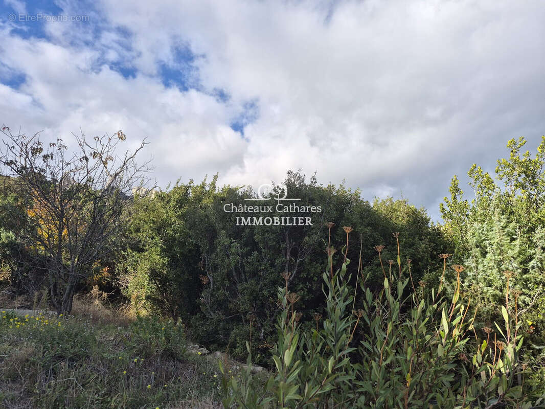 Terrain à DUILHAC-SOUS-PEYREPERTUSE