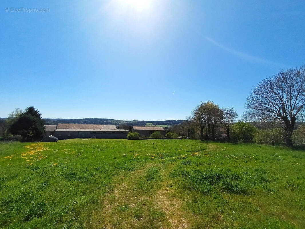 Terrain à CHOMELIX