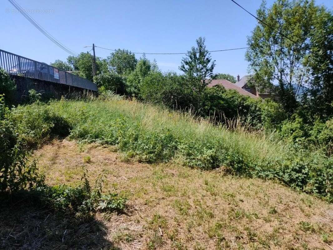 Photo 4 - Terrain à SAINT-THIEBAUD