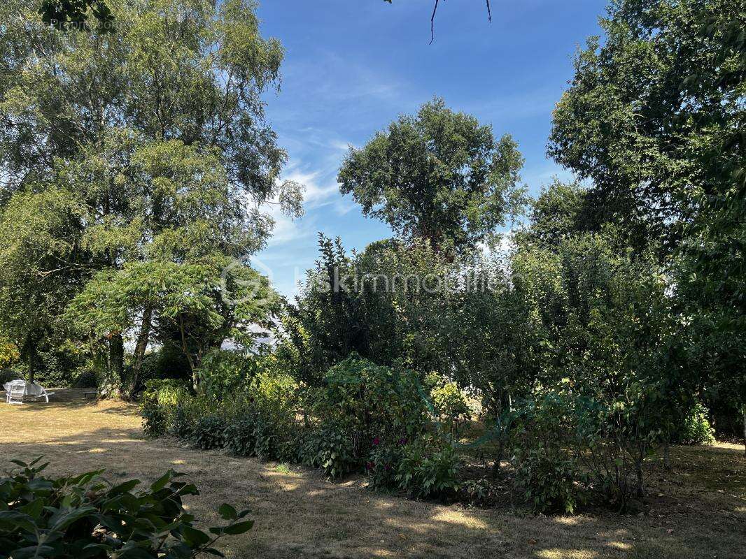 Maison en pierre de caractère avec grand terrain, dépendances et jardin nourricier - photo 28