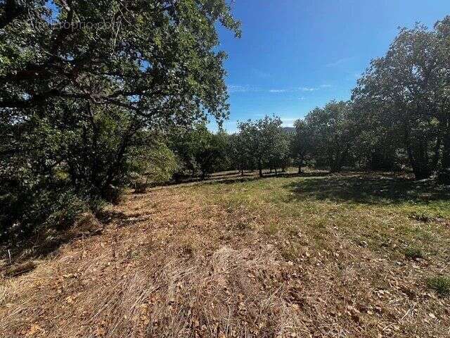 Terrain à OLMET-ET-VILLECUN