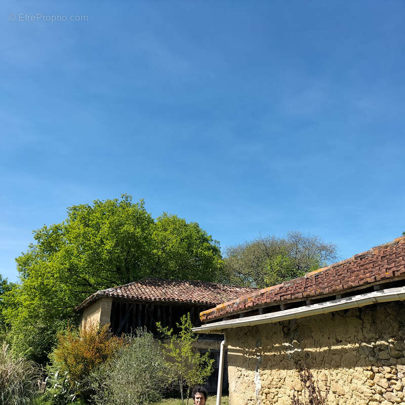 Maison à MASSEUBE