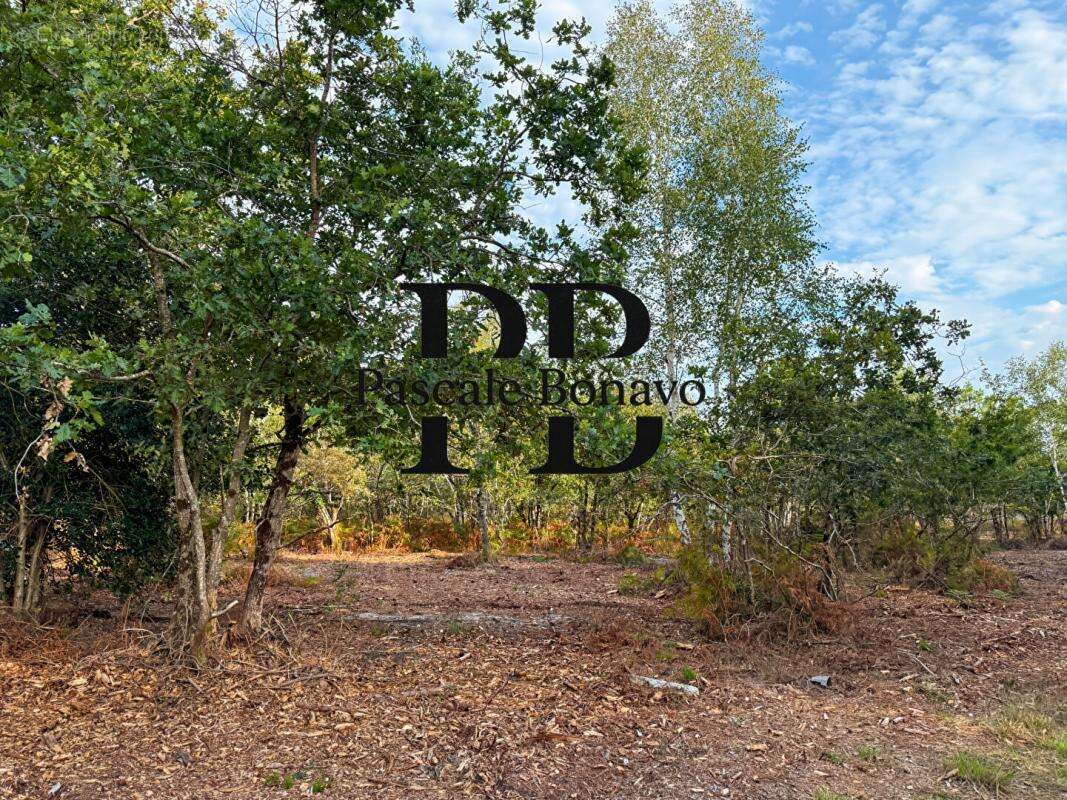 Terrain à VENDAYS-MONTALIVET