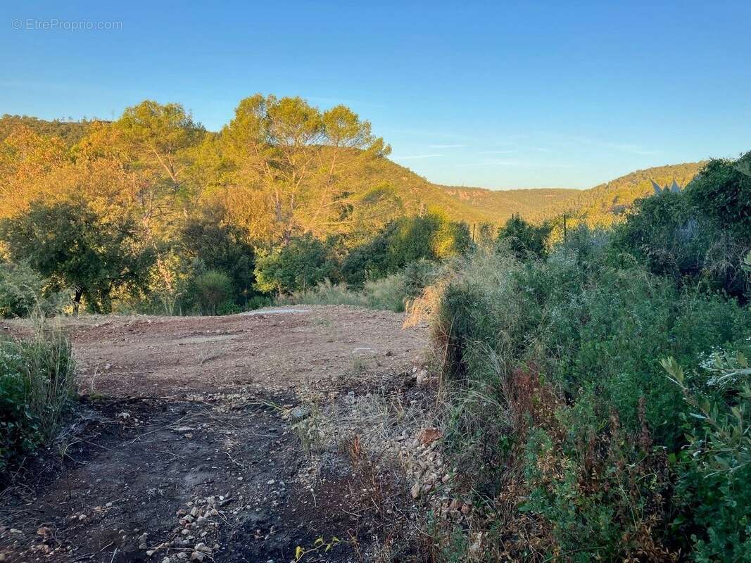 Terrain à LE TIGNET