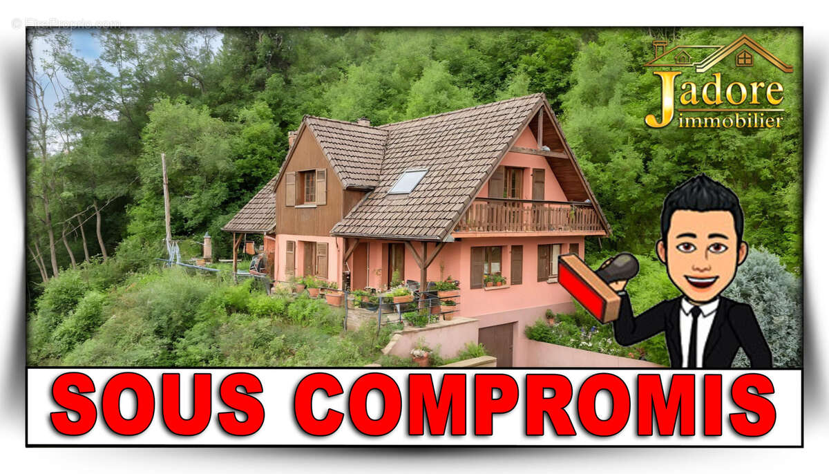 Maison à LE BONHOMME