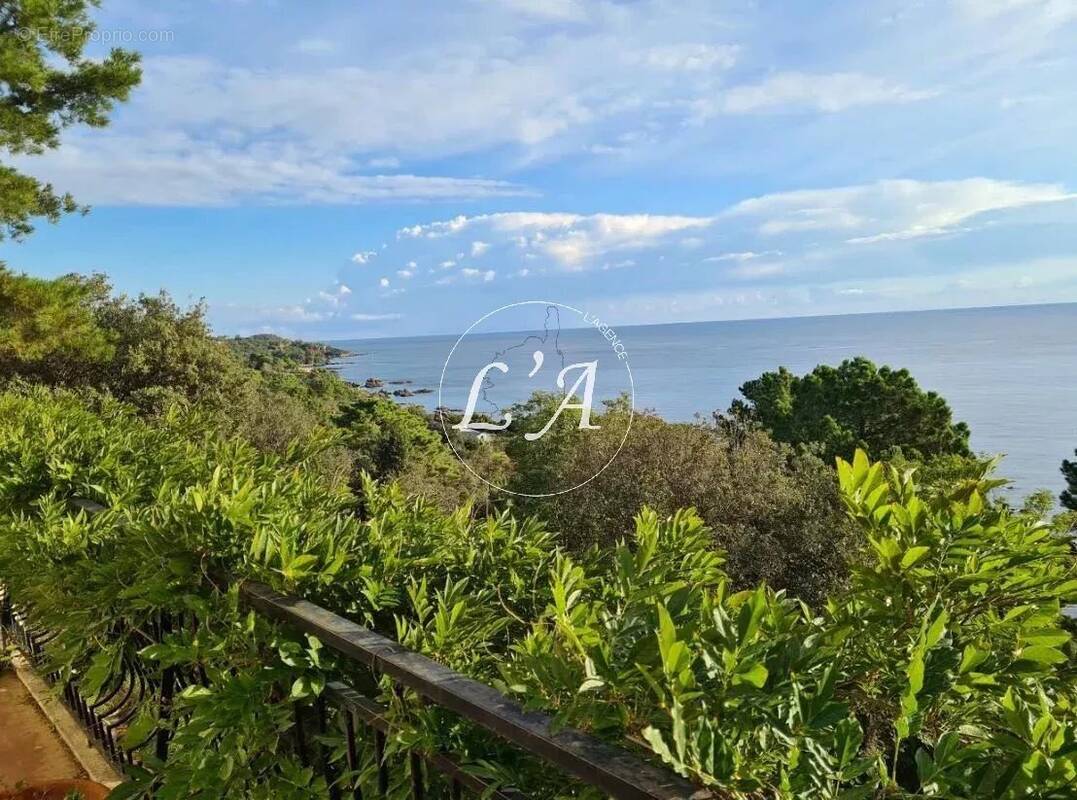 Maison à SARI-SOLENZARA