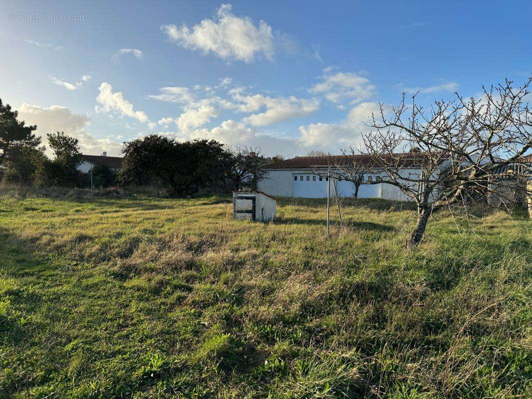 Terrain à SAINT-PIERRE-D&#039;OLERON