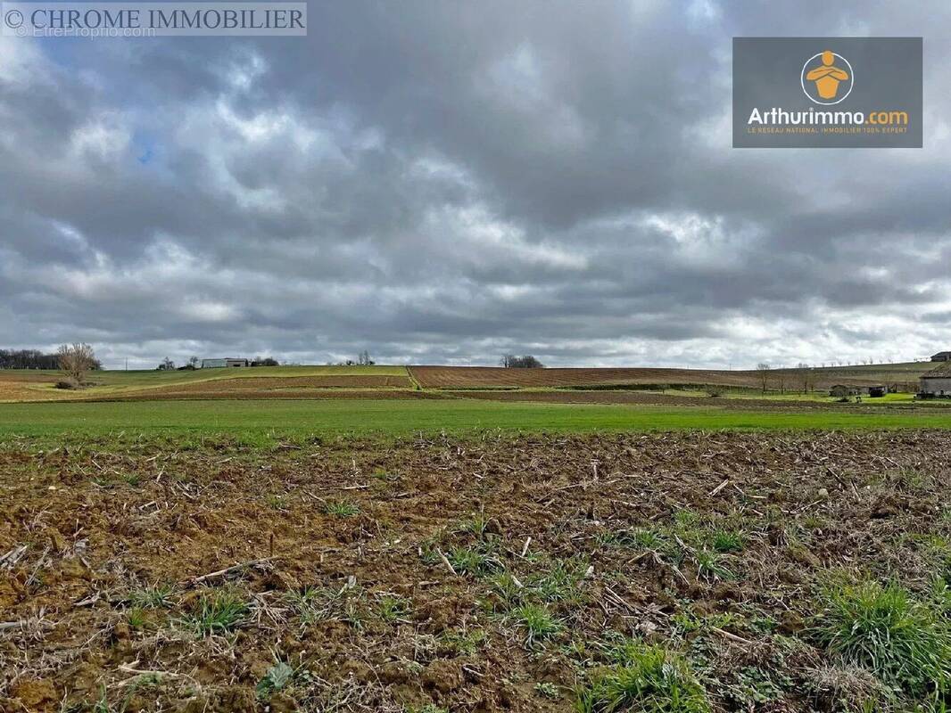 Terrain à PARDAILLAN