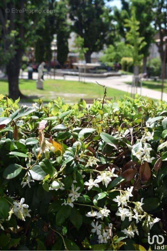 Photo 2 - Commerce à L&#039;ISLE-SUR-LA-SORGUE