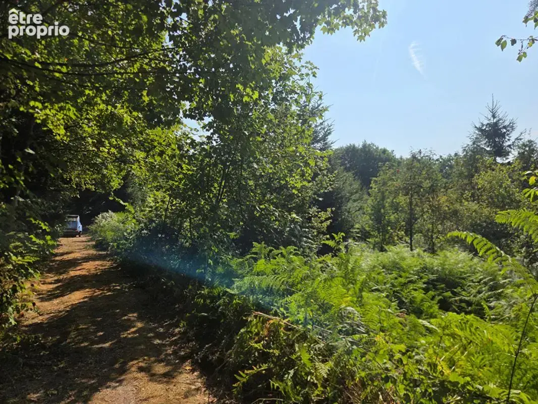 Terrain à LE THOLY