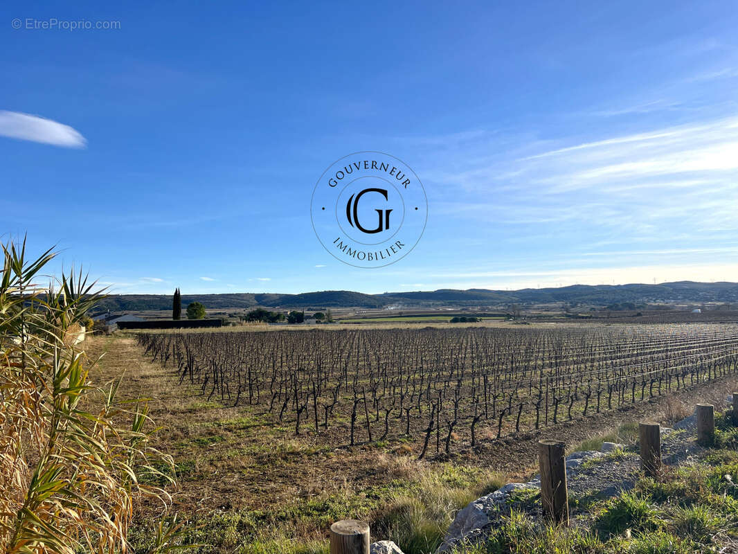 Terrain à LE POUGET