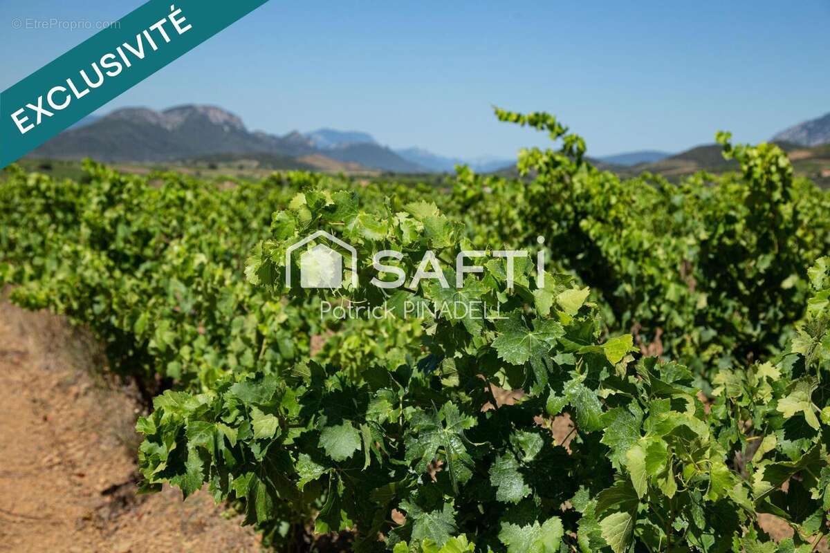 Photo 8 - Appartement à LATOUR-DE-FRANCE