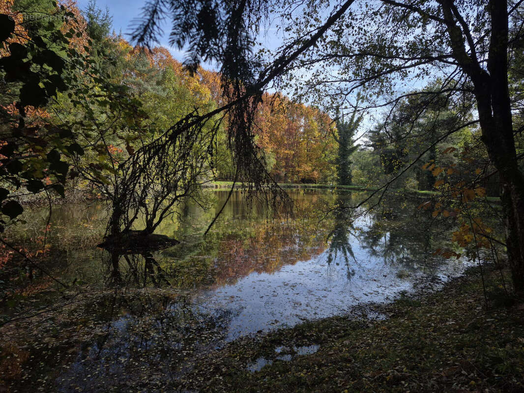 20251031_105646 - Terrain à PIEGUT-PLUVIERS