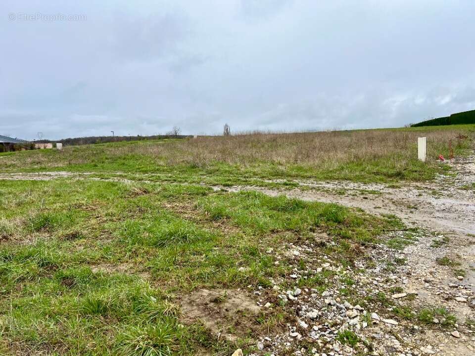 Terrain 430 m² à Eloise  - photo 3