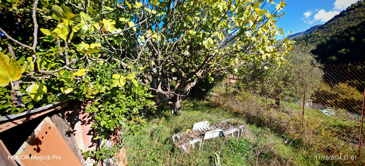 Terrain à L'ESCARENE