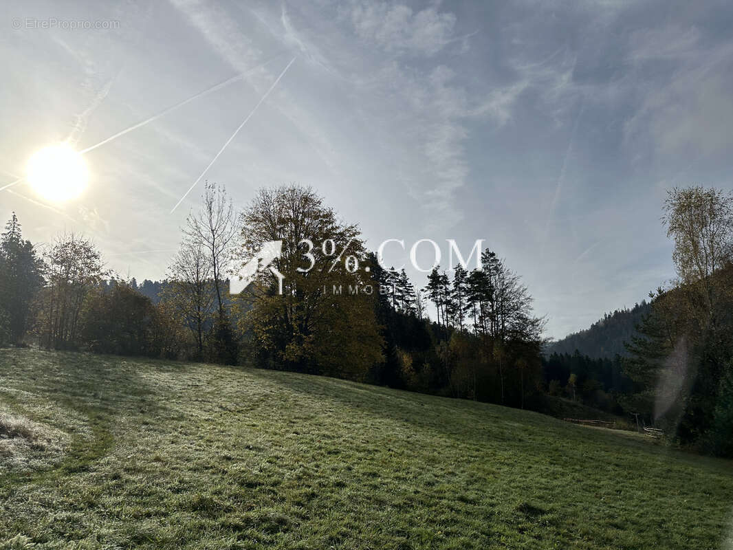 Terrain à GERARDMER