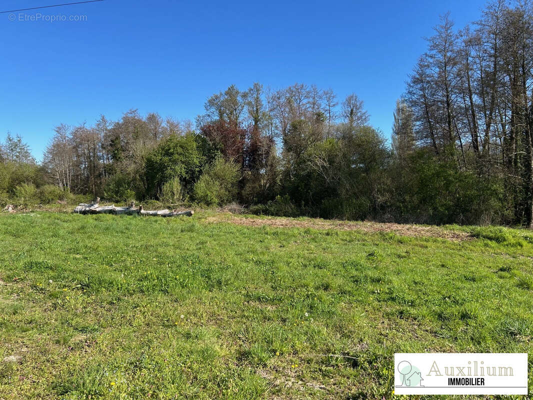 Terrain à BOURG