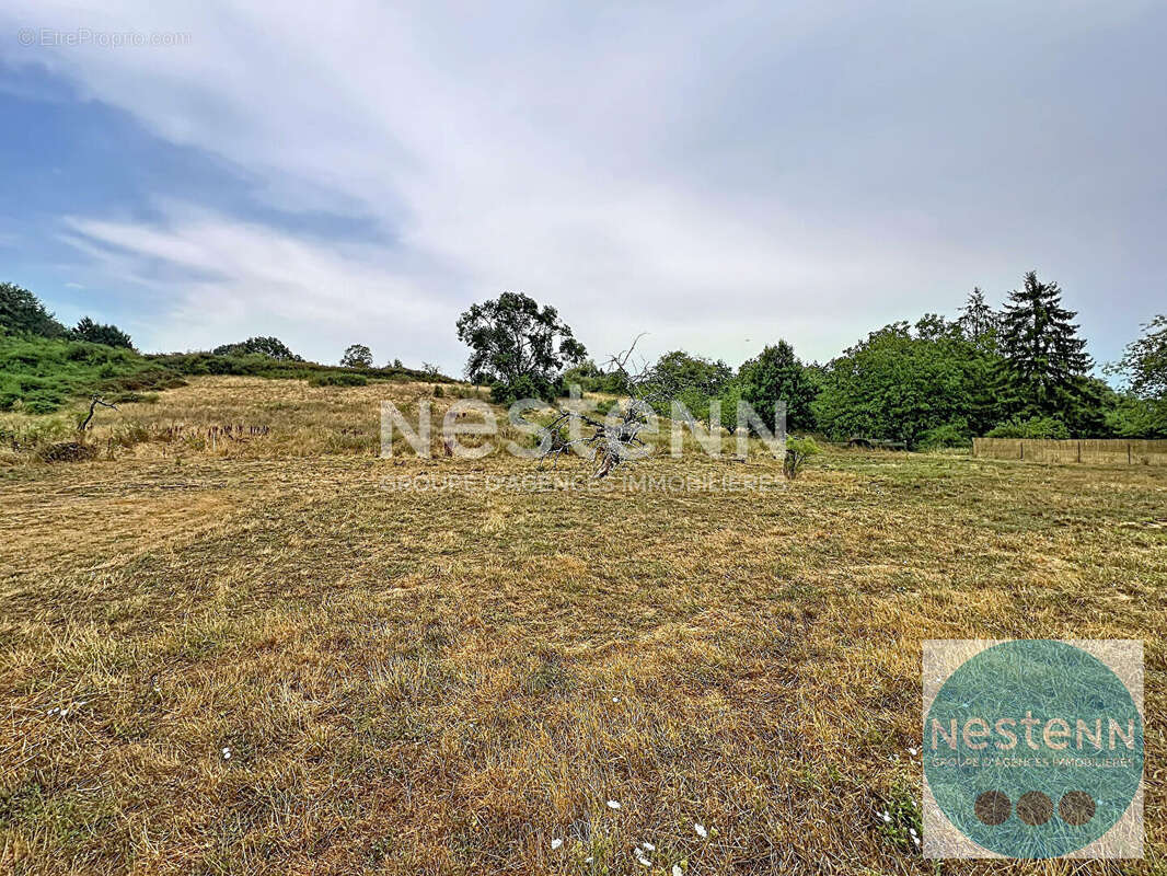 Chouzy sur Cisse - Longère de 206 m² à réhabiliter - combles aménageables - 3800 m² de terrain - photo 12