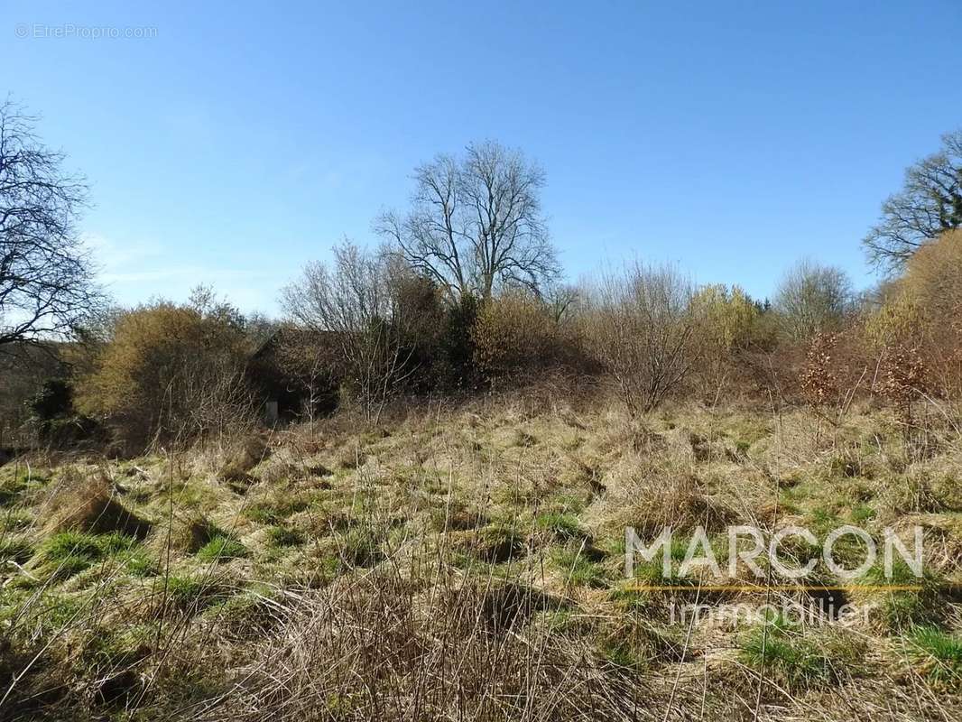Maison à SAINT-SULPICE-LES-CHAMPS