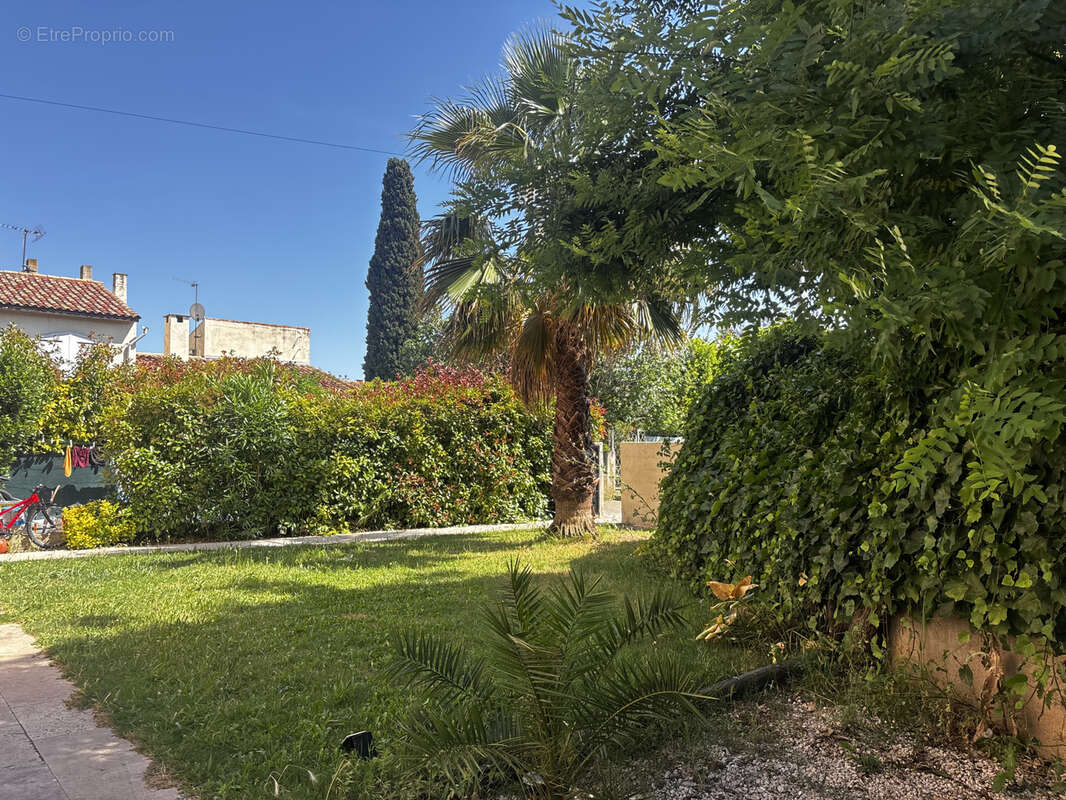 Nezignan l eveque - photo 5