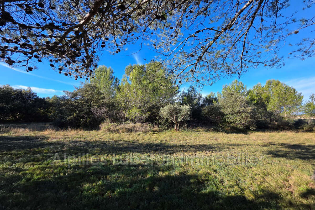Terrain à EYGALIERES