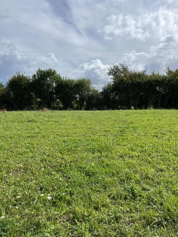 Terrain à SAINT-PATERNE