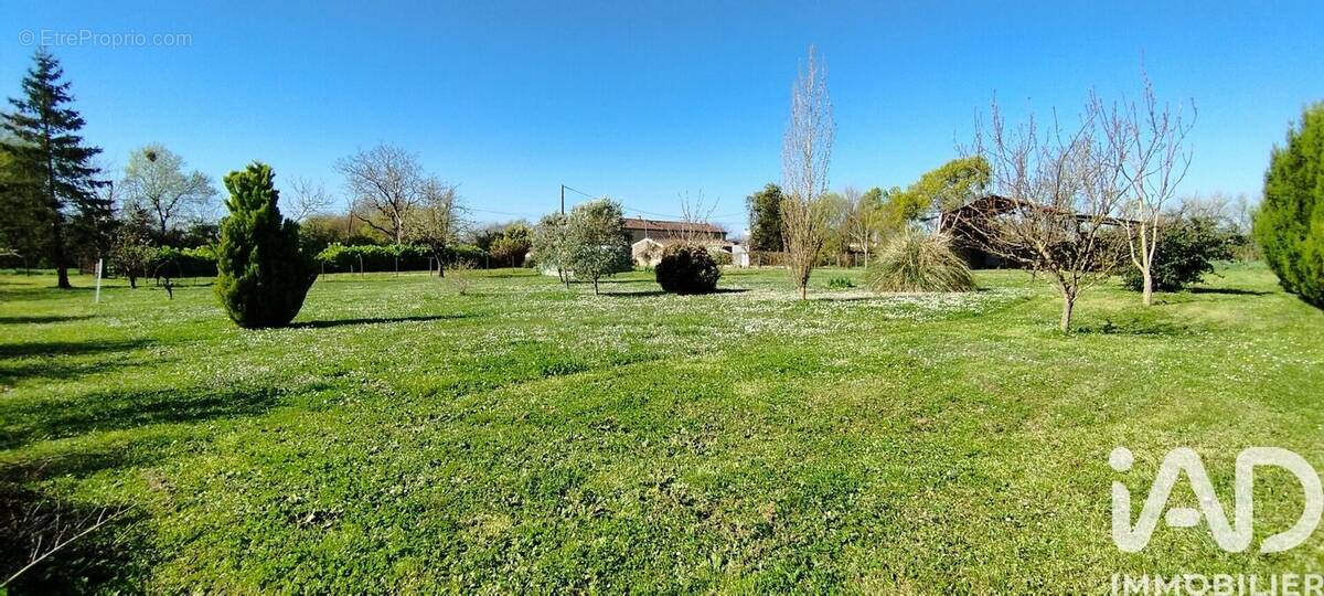 Photo 1 - Terrain à NERE